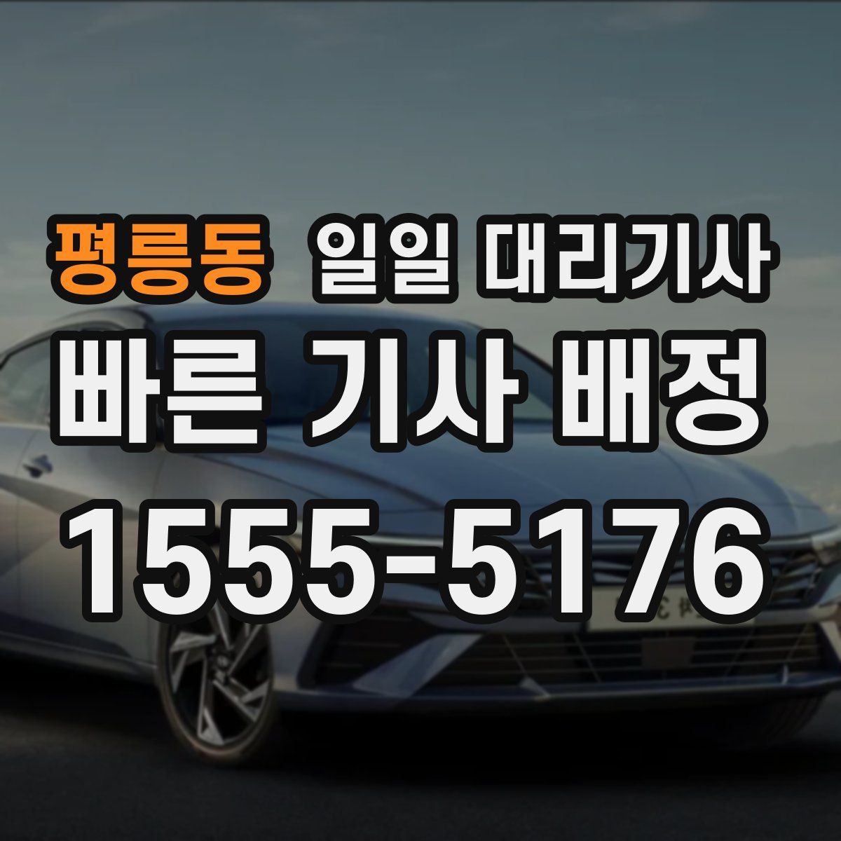 평릉동 일일 대리기사