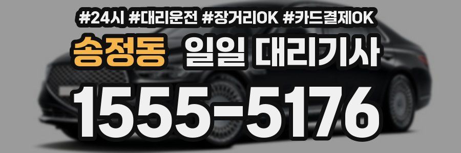 송정동 일일 대리기사