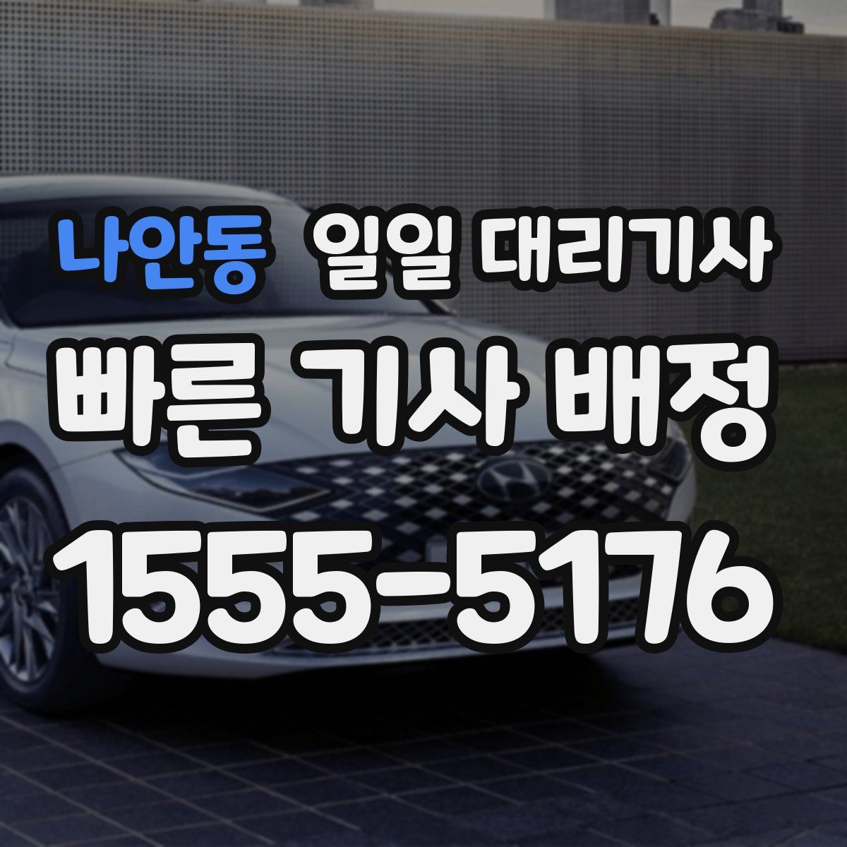나안동 일일 대리기사