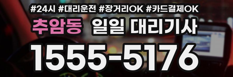 추암동 일일 대리기사