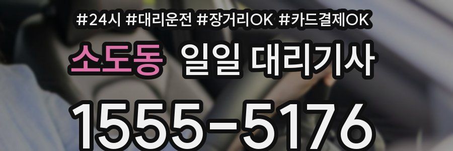 소도동 일일 대리기사