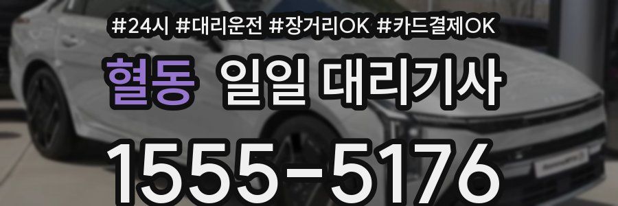 혈동 일일 대리기사