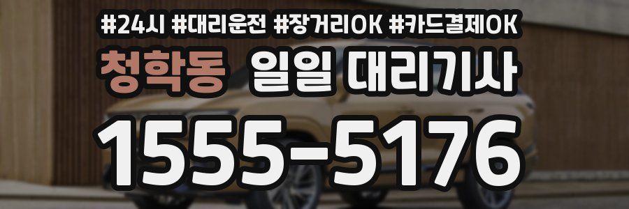 청학동 일일 대리기사
