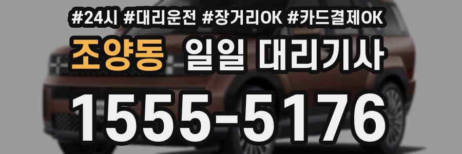 조양동 일일 대리기사
