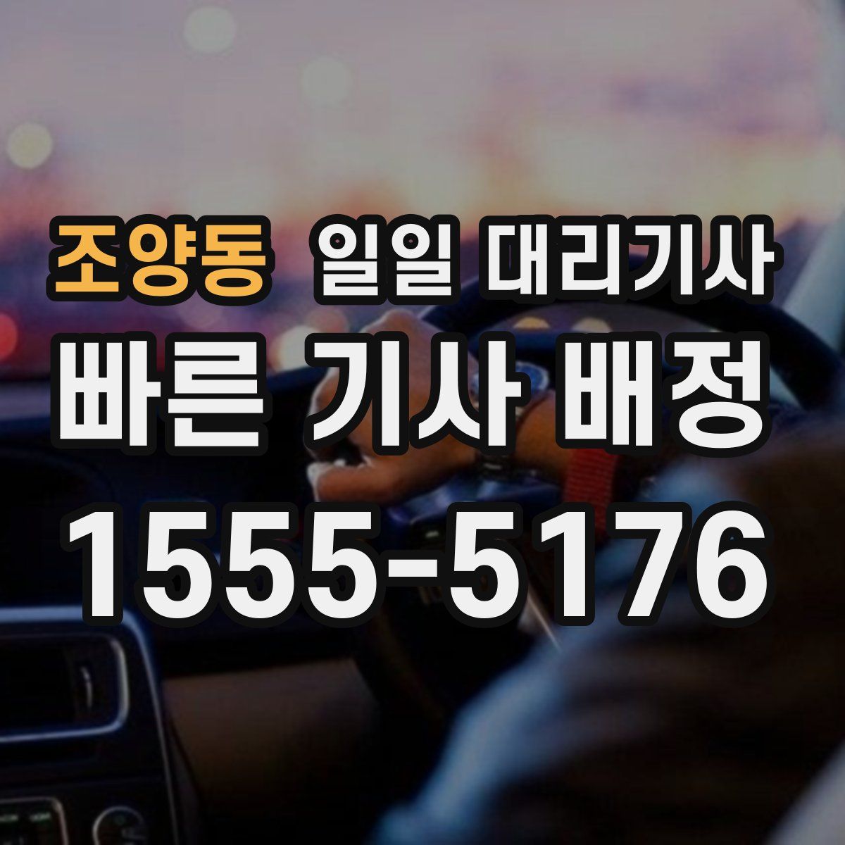 조양동 일일 대리기사