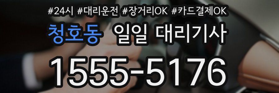 청호동 일일 대리기사
