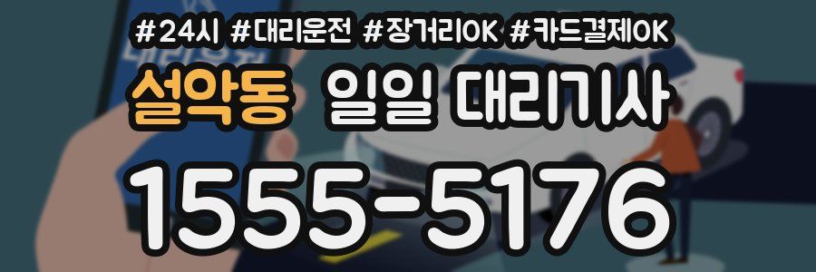 설악동 일일 대리기사