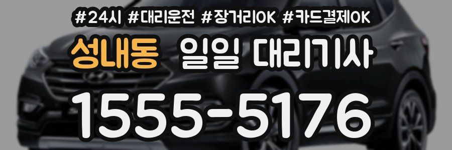 성내동 일일 대리기사