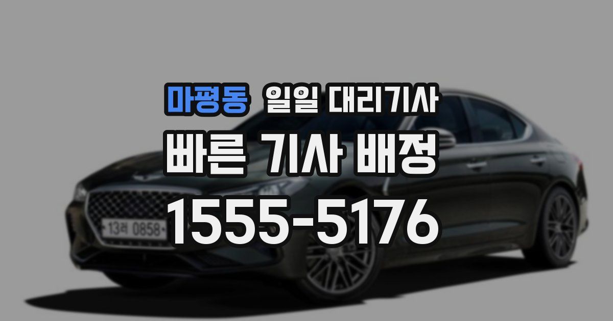 마평동 일일 대리기사