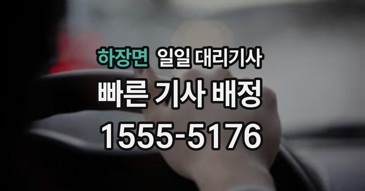 하장면 일일 대리기사