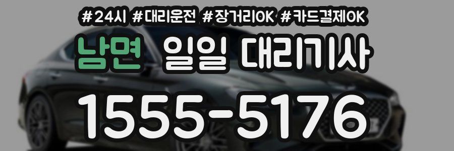남면 일일 대리기사
