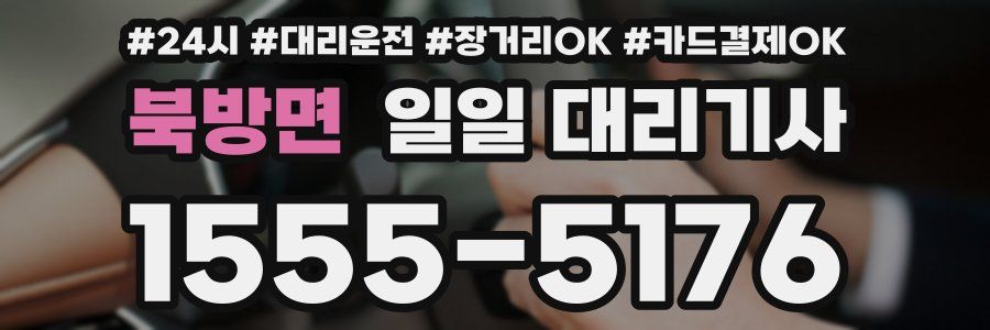북방면 일일 대리기사