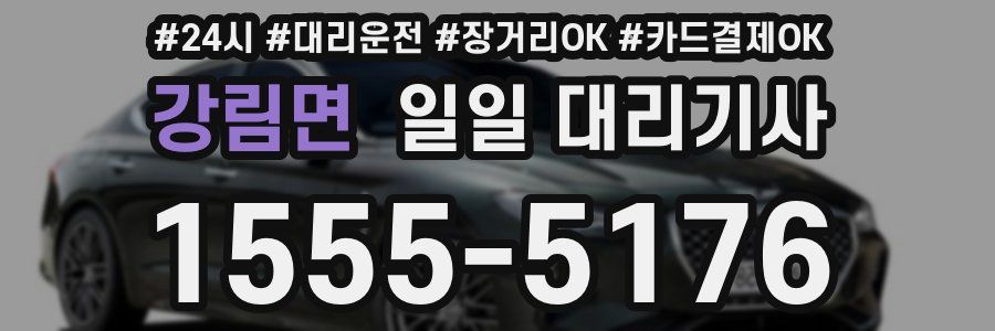 강림면 일일 대리기사