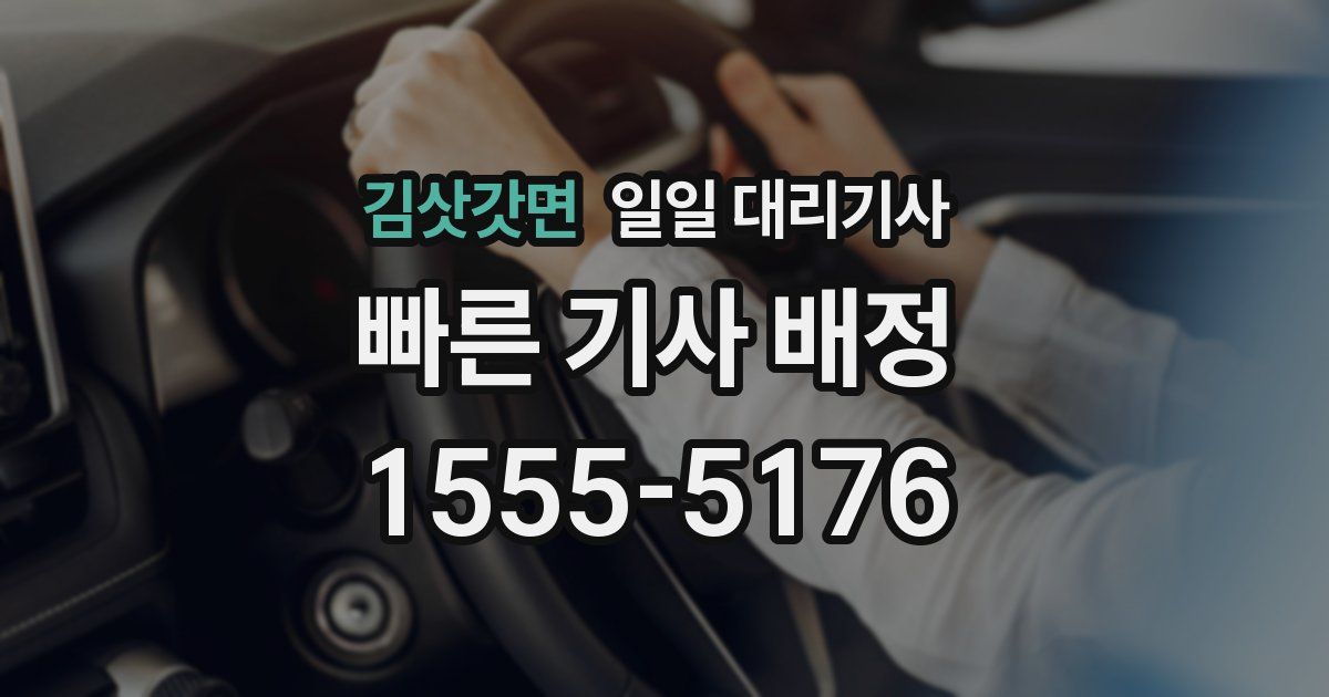 김삿갓면 일일 대리기사