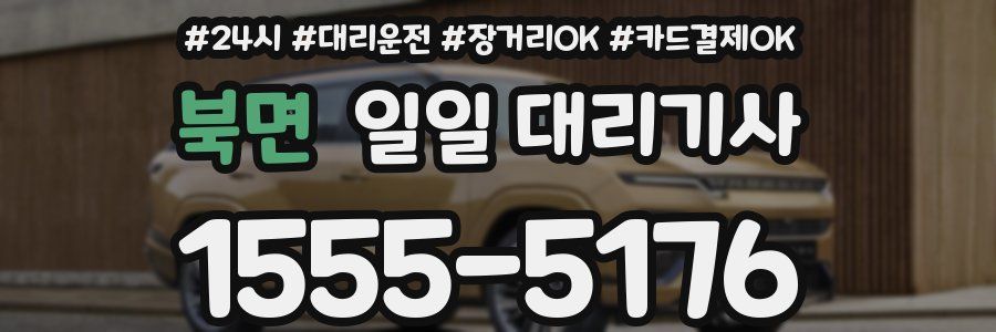 북면 일일 대리기사