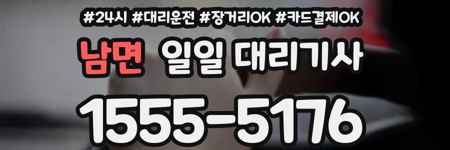 남면 일일 대리기사