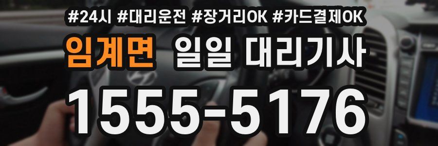 임계면 일일 대리기사