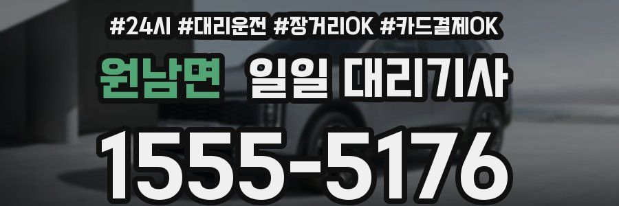 원남면 일일 대리기사