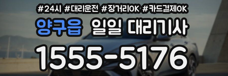 양구읍 일일 대리기사