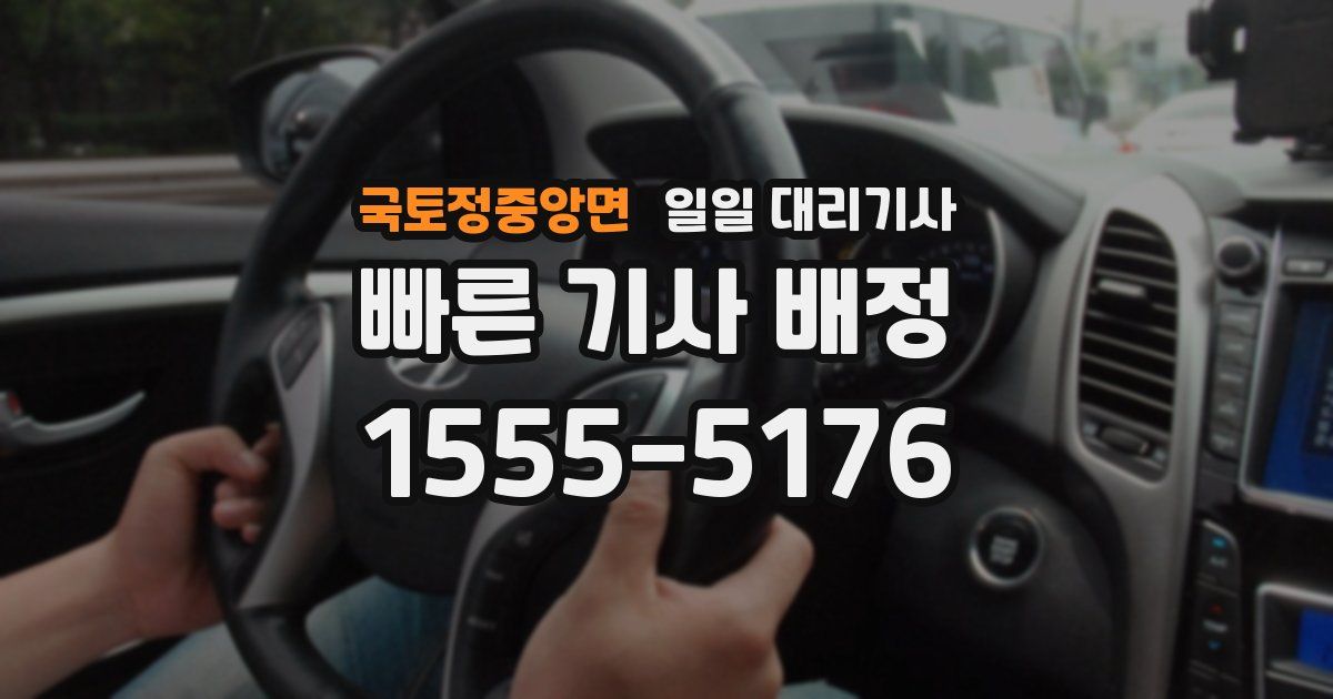 국토정중앙면 일일 대리기사