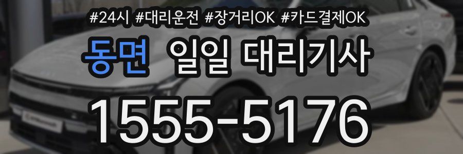 동면 일일 대리기사