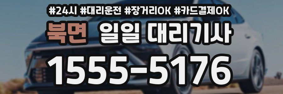 북면 일일 대리기사