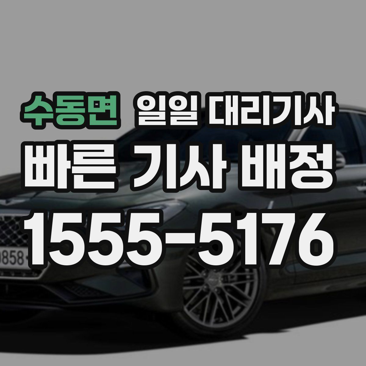 수동면 일일 대리기사