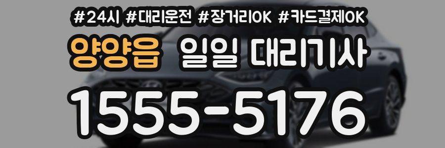 양양읍 일일 대리기사