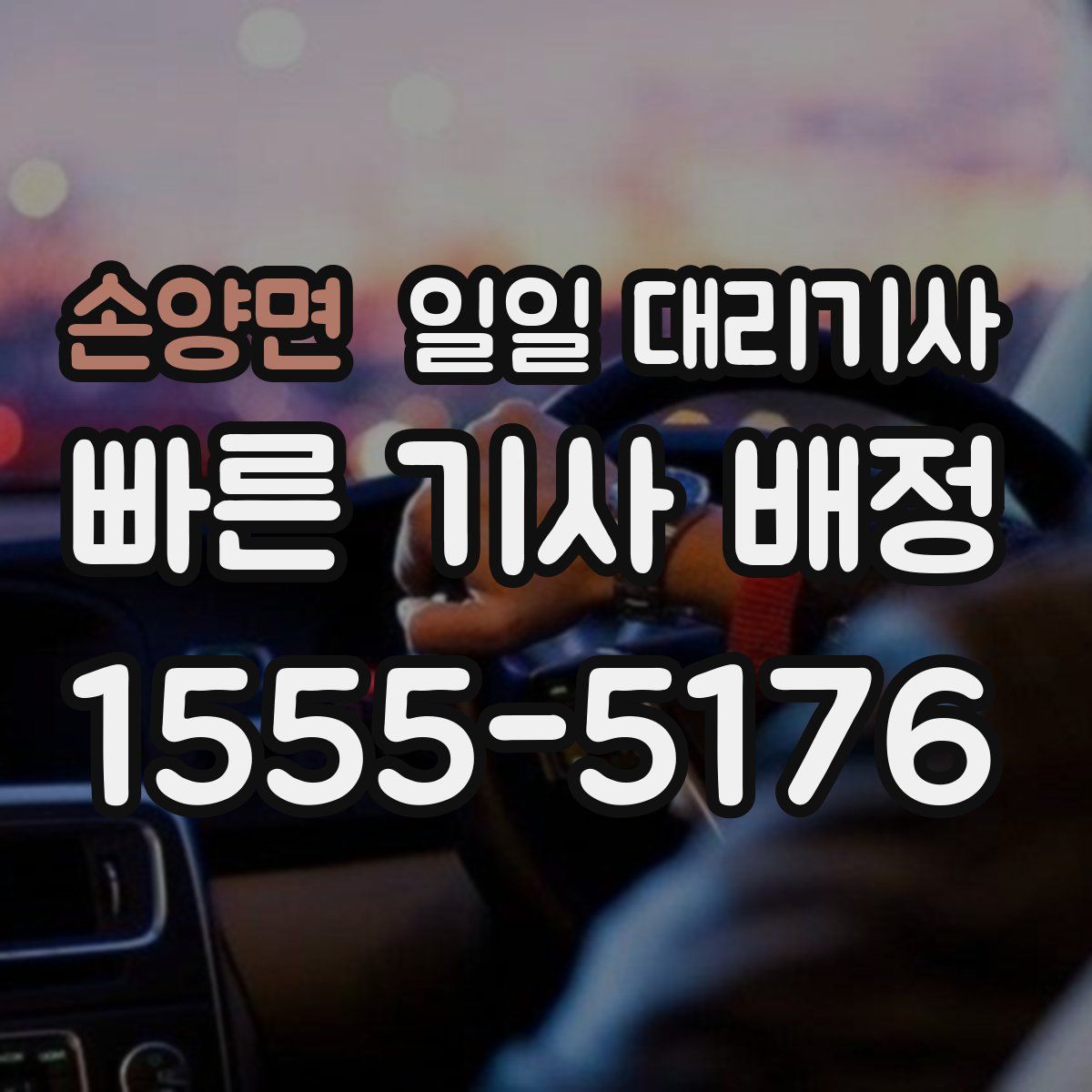 손양면 일일 대리기사
