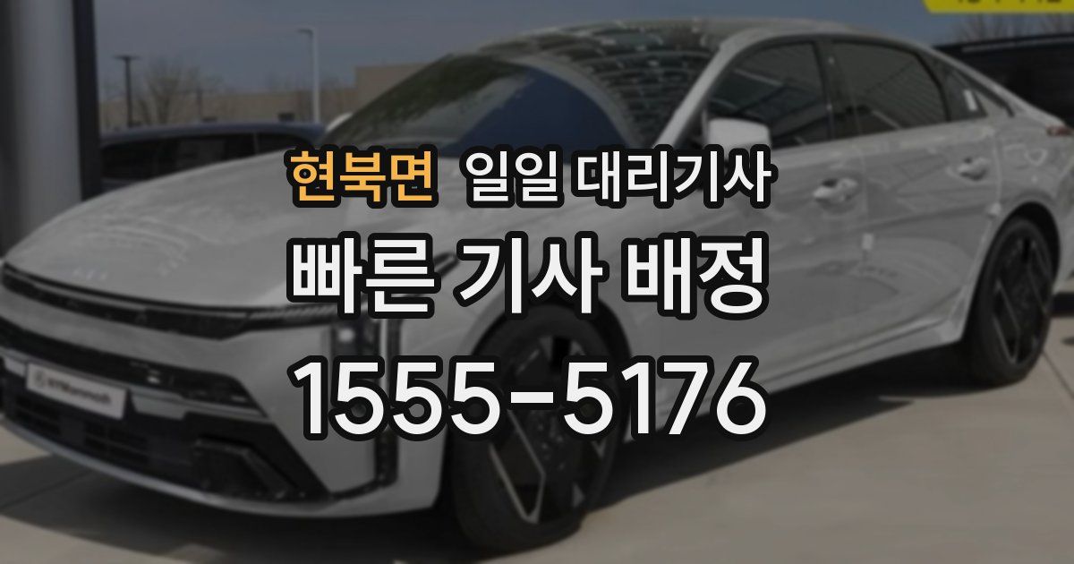 현북면 일일 대리기사