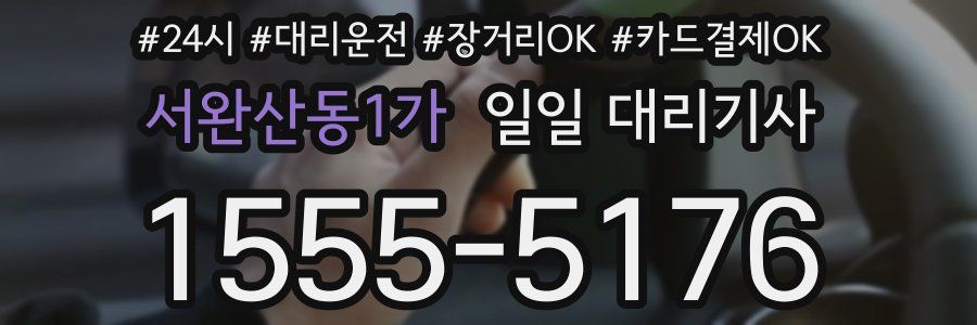 서완산동1가 일일 대리기사