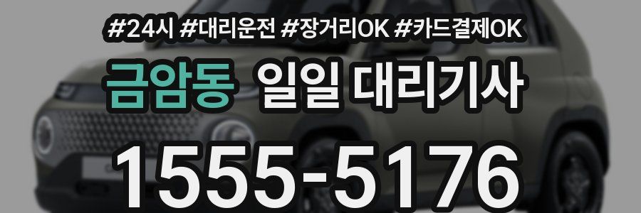 금암동 일일 대리기사