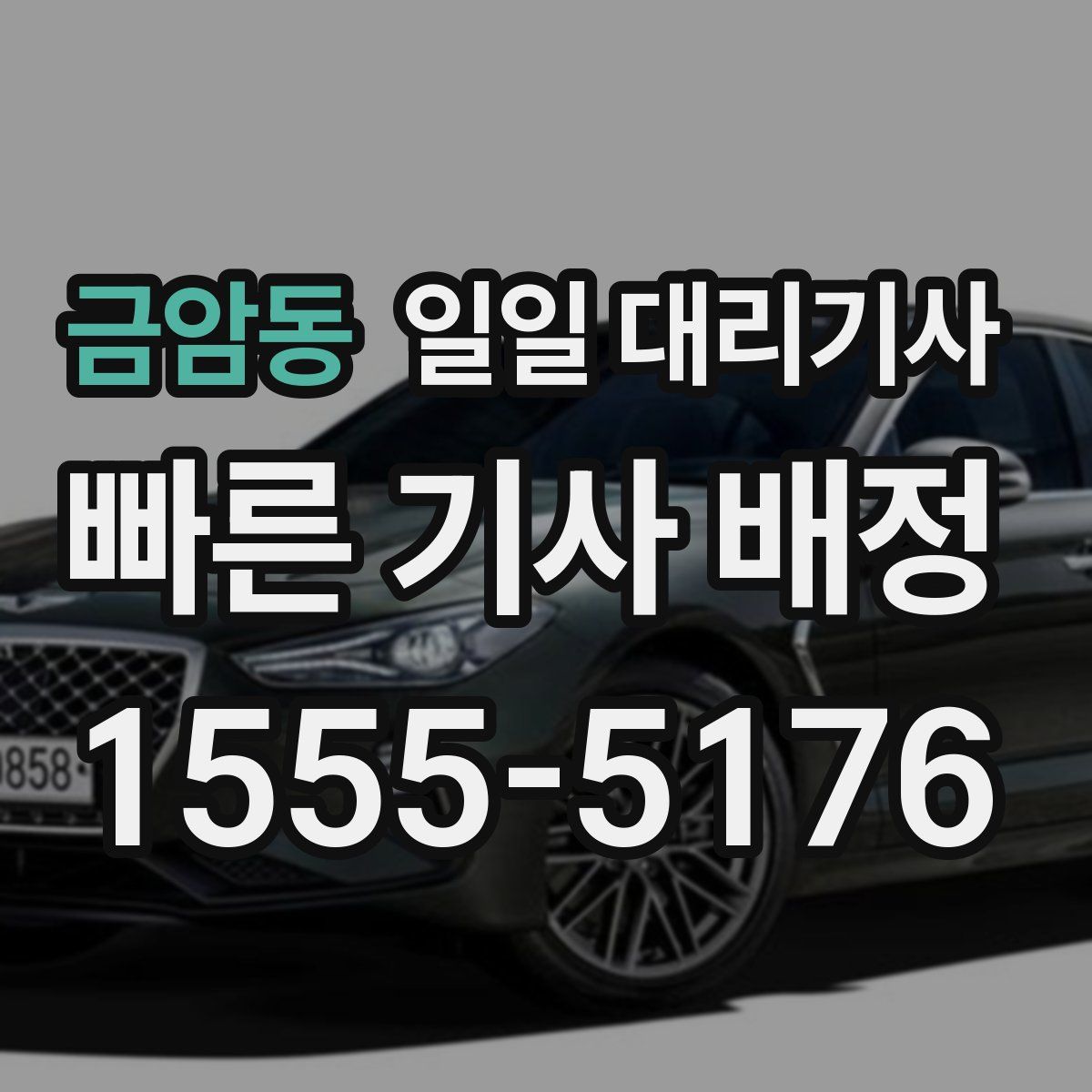 금암동 일일 대리기사
