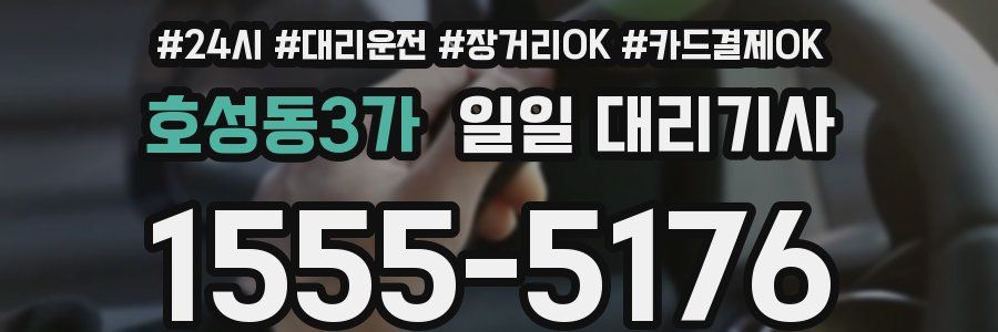 호성동3가 일일 대리기사