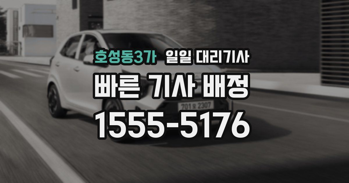 호성동3가 일일 대리기사