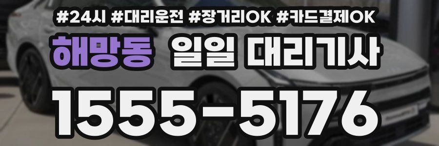해망동 일일 대리기사