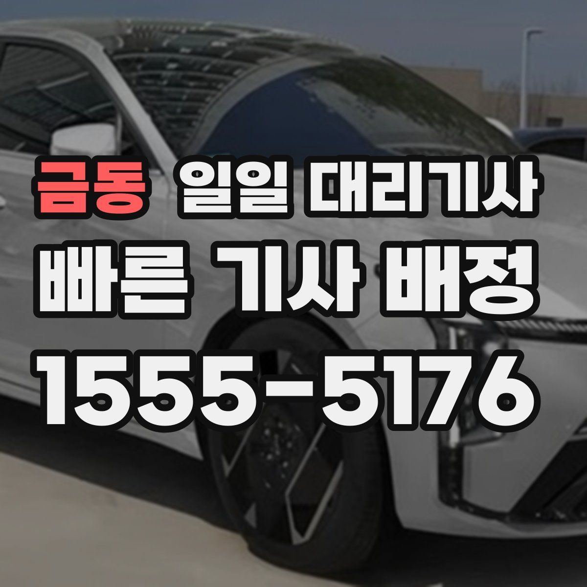 금동 일일 대리기사