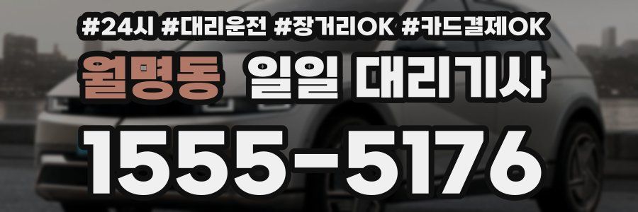 월명동 일일 대리기사