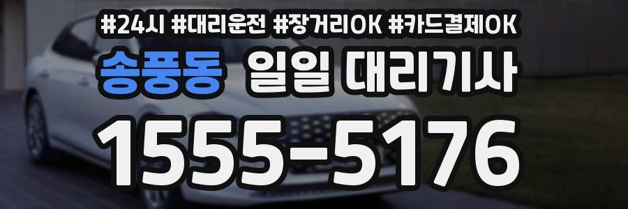 송풍동 일일 대리기사