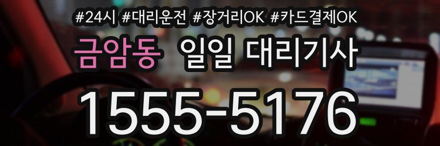 금암동 일일 대리기사