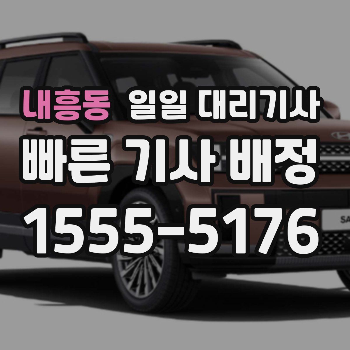 내흥동 일일 대리기사