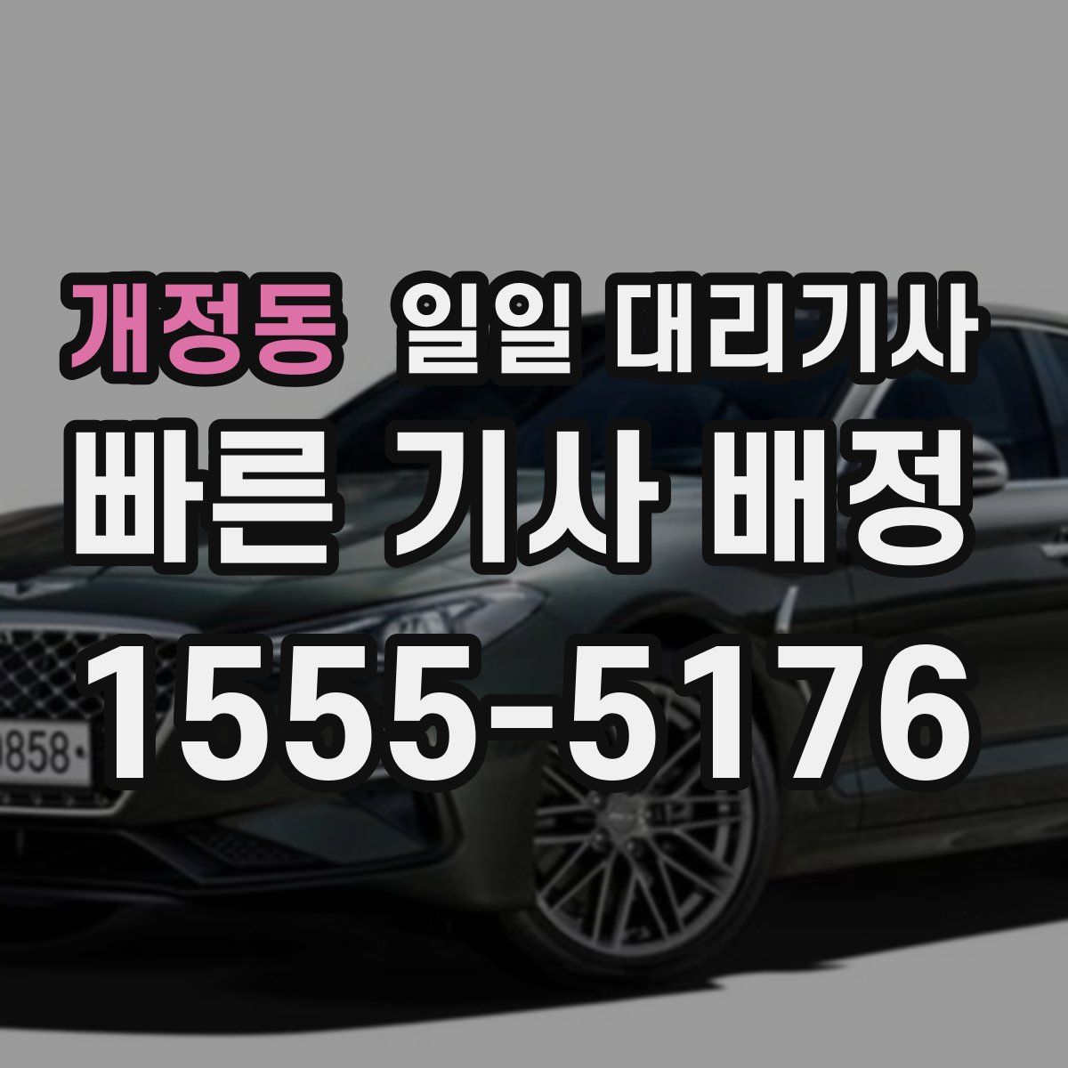개정동 일일 대리기사