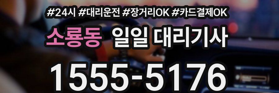 소룡동 일일 대리기사