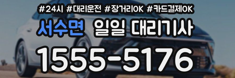 서수면 일일 대리기사