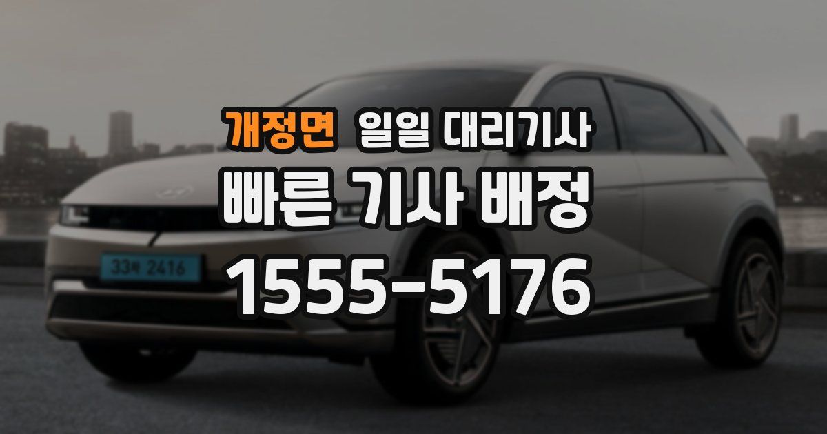 개정면 일일 대리기사