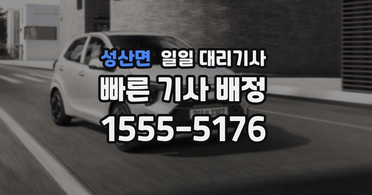 성산면 일일 대리기사