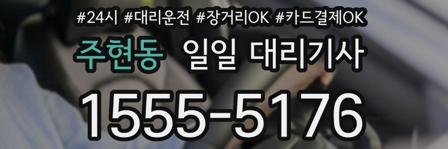주현동 일일 대리기사