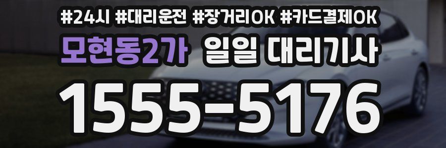 모현동2가 일일 대리기사