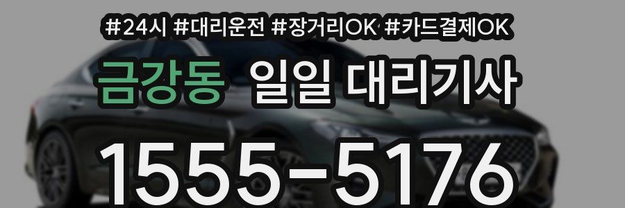 금강동 일일 대리기사