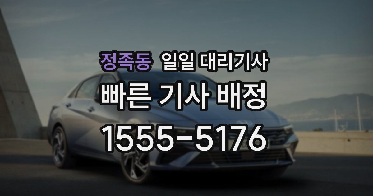 정족동 일일 대리기사